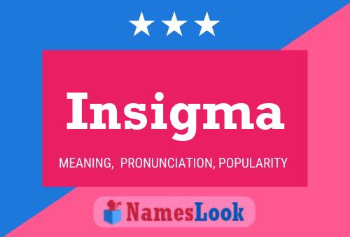 Insigma 名字海报