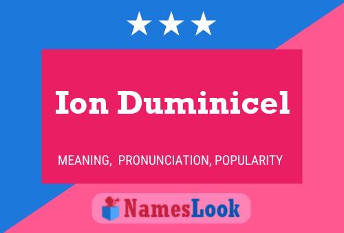 Ion Duminicel 名字海报