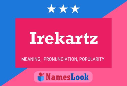 Irekartz 名字海报