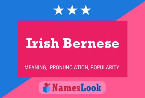 Irish Bernese 名字海报