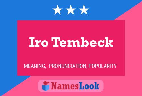 Iro Tembeck 名字海报