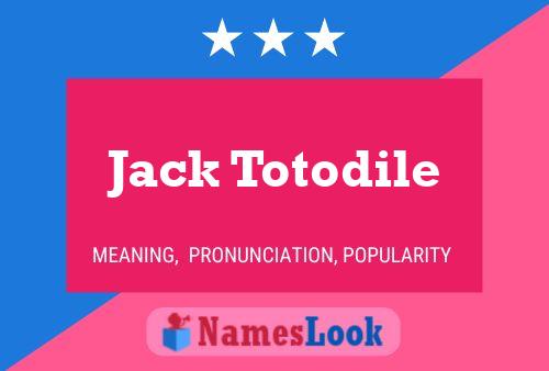 Jack Totodile 名字海报