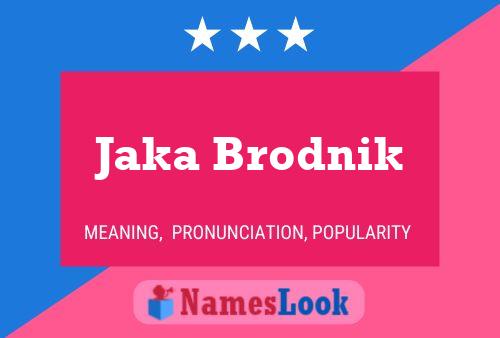 Jaka Brodnik 名字海报