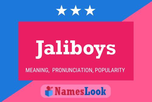 Jaliboys 名字海报