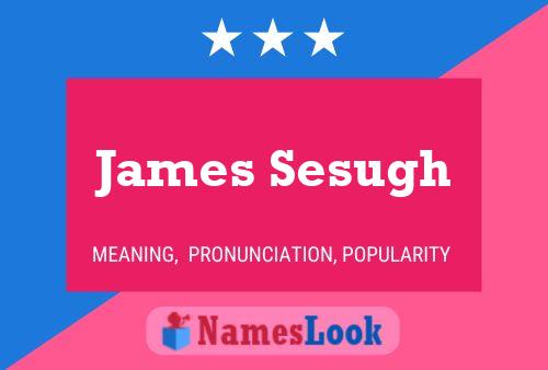 James Sesugh 名字海报