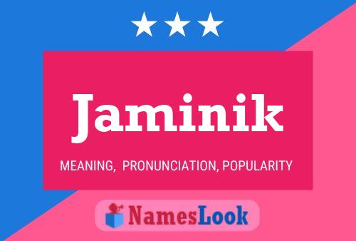 Jaminik 名字海报