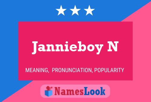 Jannieboy N 名字海报