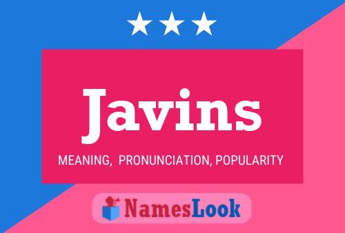 Javins 名字海报