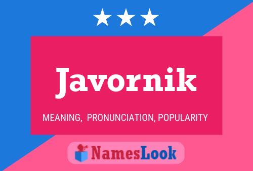 Javornik 名字海报