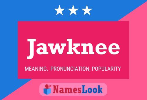 Jawknee 名字海报