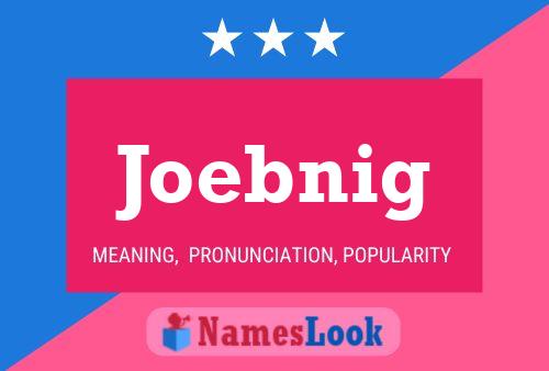 Joebnig 名字海报