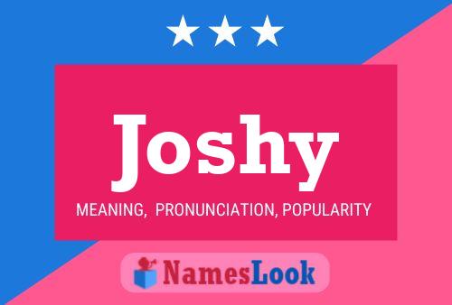 Joshy 名字海报