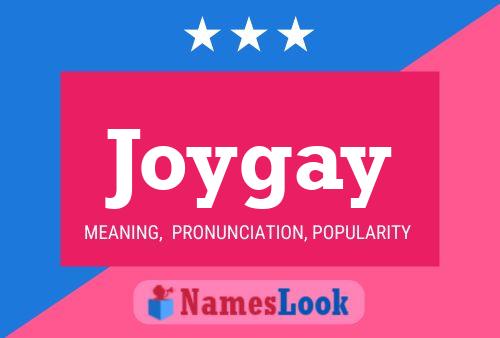 Joygay 名字海报