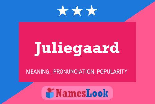 Juliegaard 名字海报