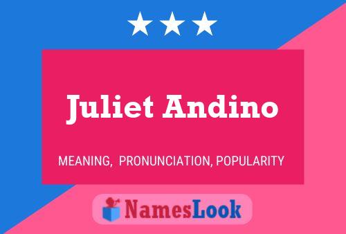 Juliet Andino 名字海报