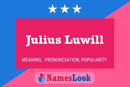 Julius Luwill 名字海报