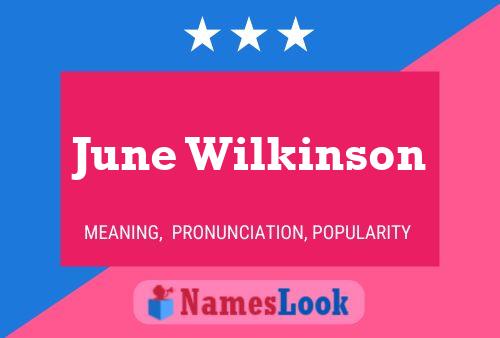 June Wilkinson 名字海报