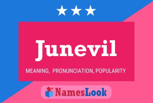 Junevil 名字海报