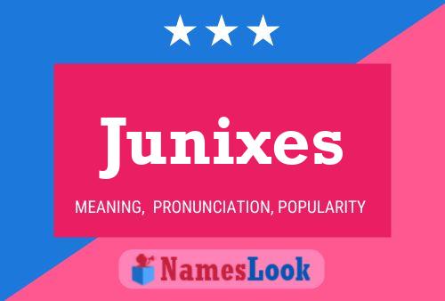 Junixes 名字海报