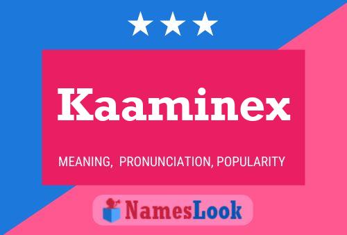 Kaaminex 名字海报