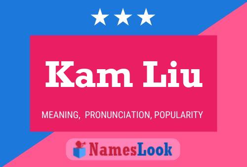 Kam Liu 名字海报