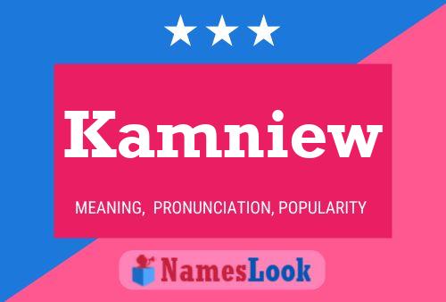 Kamniew 名字海报