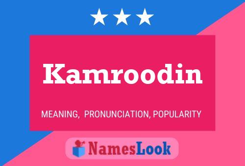 Kamroodin 名字海报