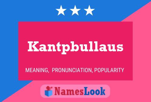 Kantpbullaus 名字海报