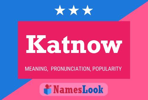 Katnow 名字海报