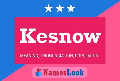 Kesnow 名字海报