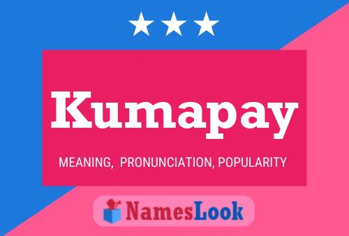 Kumapay 名字海报