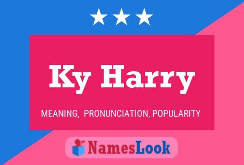 Ky Harry 名字海报