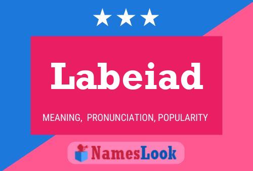 Labeiad 名字海报