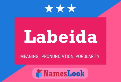 Labeida 名字海报