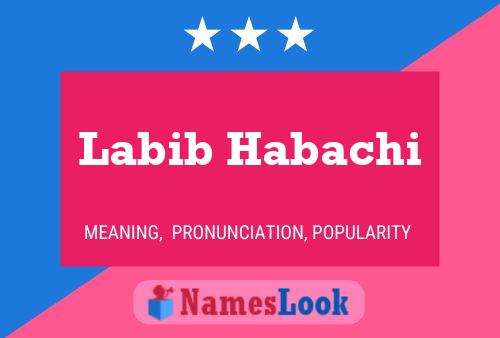 Labib Habachi 名字海报