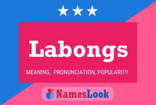 Labongs 名字海报