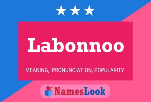 Labonnoo 名字海报