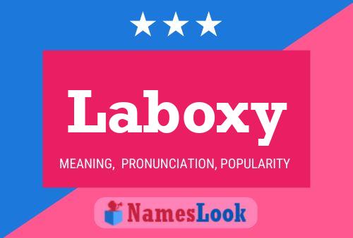 Laboxy 名字海报