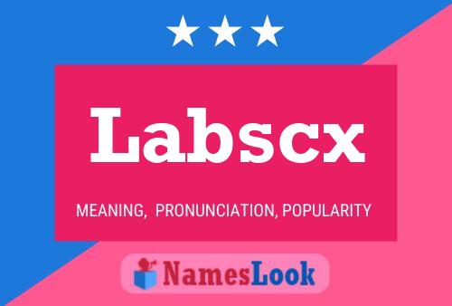 Labscx 名字海报