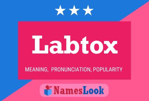 Labtox 名字海报