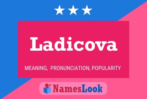 Ladicova 名字海报