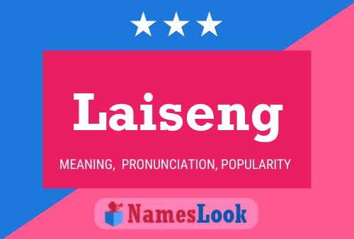 Laiseng 名字海报