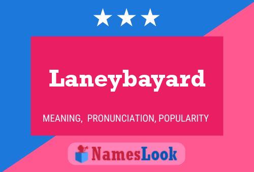 Laneybayard 名字海报