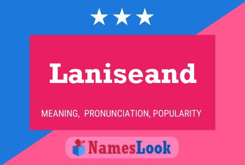 Laniseand 名字海报