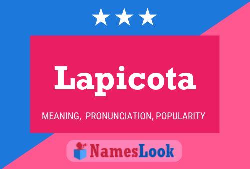 Lapicota 名字海报