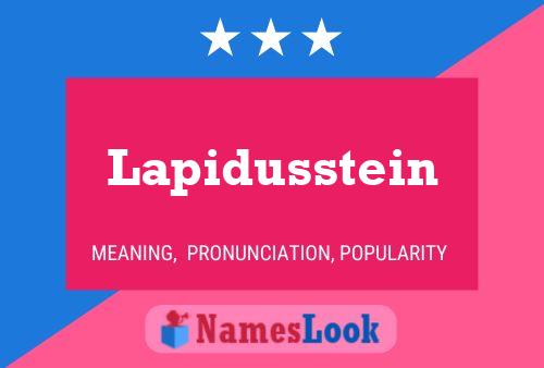 Lapidusstein 名字海报