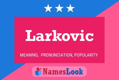 Larkovic 名字海报