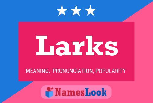 Larks 名字海报