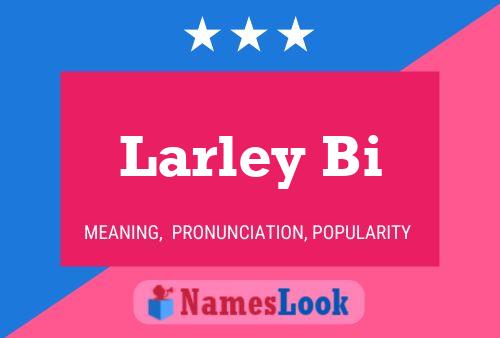 Larley Bi 名字海报