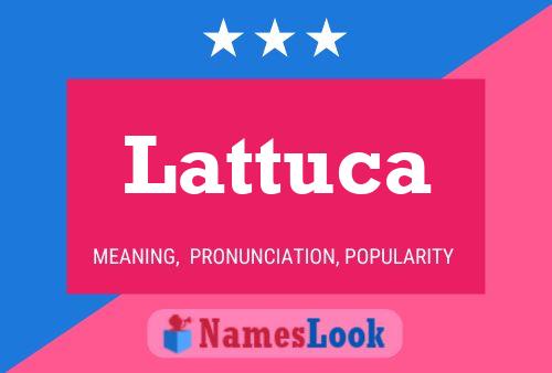 Lattuca 名字海报